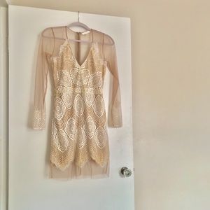 Long Sleeve Lace Mesh Dress